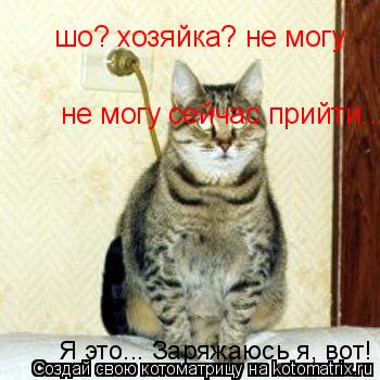 шо? хозяйка? не могу не могу сейчас прийти... Я это... Заряжаюсь я, вот!... Котоматрица: шо? хозяйка? не могу не могу сейчас прийти... Я это... Заряжаюсь я, вот!