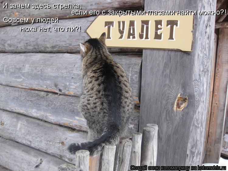И зачем здесь стрелка, если его с закрытыми глазами найти можно?! Совсем у людей нюха нет, что ли?!... Котоматрица: И зачем здесь стрелка, если его с закрытыми глазами найти можно?! Совсем у людей нюха нет, что ли?!