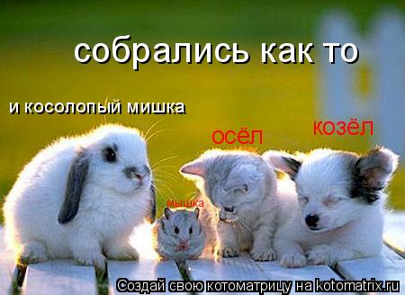 собрались как то мышка осёл козёл и косолопый мишка... Котоматрица: собрались как то мышка осёл козёл и косолопый мишка