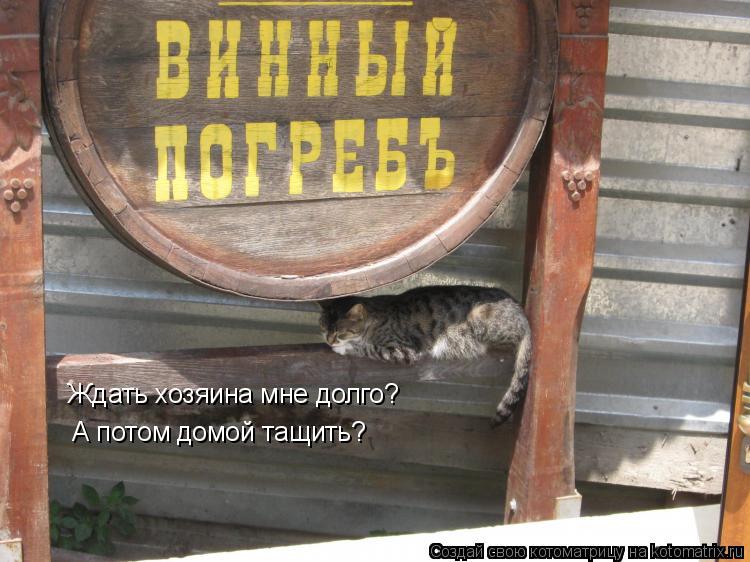 Ждать хозяина мне долго? А потом домой тащить?... Котоматрица: Ждать хозяина мне долго? А потом домой тащить?