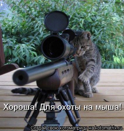 Котоматрица: Хороша! Для охоты на мыша!