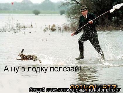 Котоматрица: А ну в лодку полезай!
