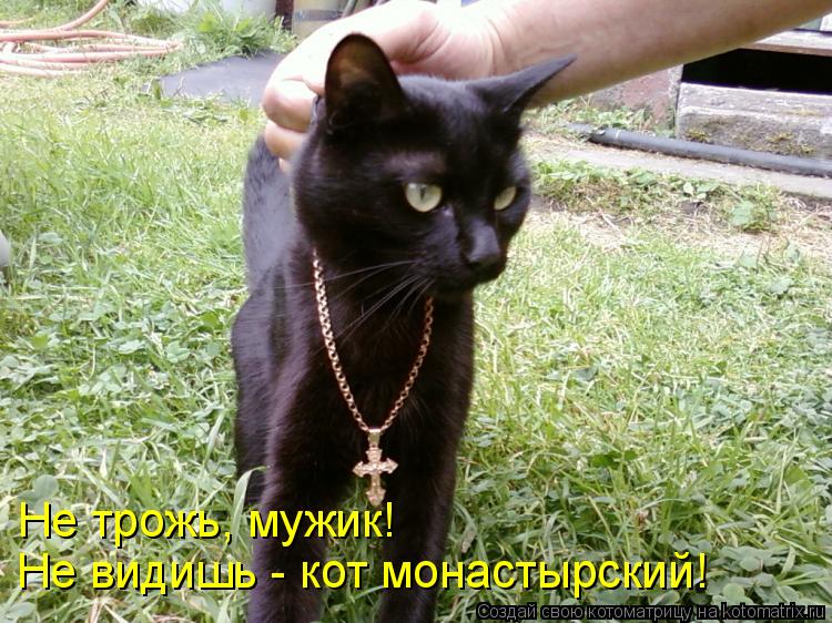 Не трожь, мужик! Не видишь - кот монастырский!... Котоматрица: Не трожь, мужик! Не видишь - кот монастырский!