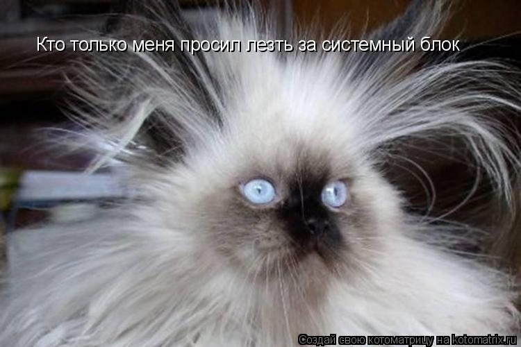 Кто только меня просил лезть за системный блок... Котоматрица: Кто только меня просил лезть за системный блок