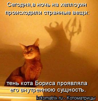 Сегодня,в ночь на хеллоуин происходили странные вещи: тень кота Бориса проявляла его внутреннюю сущно... Котоматрица: Сегодня,в ночь на хеллоуин происходили странные вещи: тень кота Бориса проявляла его внутреннюю сущность.