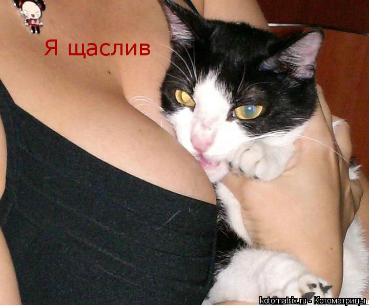 Котоматрица: Я щаслив