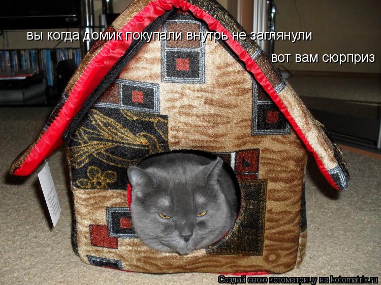 Котоматрица: вы когда домик покупали внутрь не заглянули  вот вам сюрприз