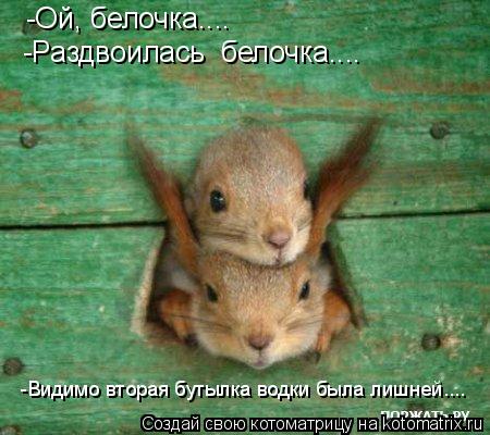 -Ой, белочка.... -Раздвоилась белочка.... -Видимо вторая бутылка водки была лишней....... Котоматрица: -Ой, белочка.... -Раздвоилась белочка.... -Видимо вторая бутылка водки была лишней....