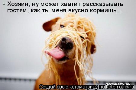 - Хозяин, ну может хватит рассказывать гостям, как ты меня вкусно кормишь...... Котоматрица: - Хозяин, ну может хватит рассказывать гостям, как ты меня вкусно кормишь...