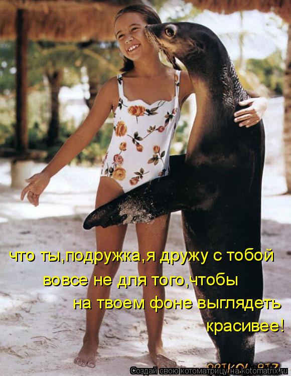 что ты,подружка,я дружу с тобой вовсе не для того,чтобы на твоем фоне выглядеть красивее!... Котоматрица: что ты,подружка,я дружу с тобой вовсе не для того,чтобы на твоем фоне выглядеть красивее!
