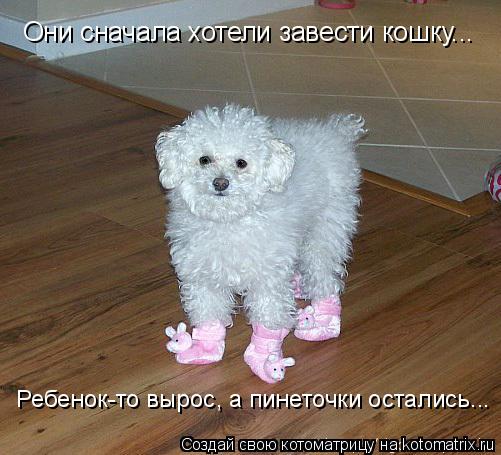 Они сначала хотели завести кошку... Ребенок-то вырос, а пинеточки остались...... Котоматрица: Они сначала хотели завести кошку... Ребенок-то вырос, а пинеточки остались...