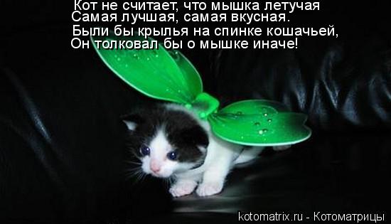 Кот не считает, что мышка летучая Самая лучшая, самая вкусная. Были бы крылья на спинке кошачьей, Он ... Котоматрица: Кот не считает, что мышка летучая Самая лучшая, самая вкусная. Были бы крылья на спинке кошачьей, Он толковал бы о мышке иначе!