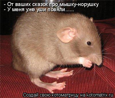 - От ваших сказок про мышку-норушку - У меня уже уши повяли......... Котоматрица: - От ваших сказок про мышку-норушку - У меня уже уши повяли......