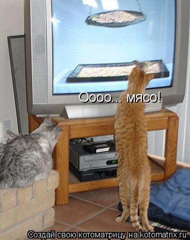 Оооо... мясо!... Котоматрица: Оооо... мясо!