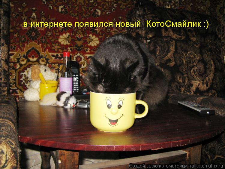 в интернете появился новый КотоСмайлик :)... Котоматрица: в интернете появился новый КотоСмайлик :)
