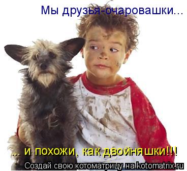 ... и похожи, как двойняшки!!! Мы друзья-очаровашки...... Котоматрица: ... и похожи, как двойняшки!!! Мы друзья-очаровашки...