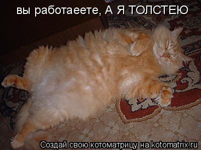 вы работаеете, А Я ТОЛСТЕЮ... Котоматрица: вы работаеете, А Я ТОЛСТЕЮ