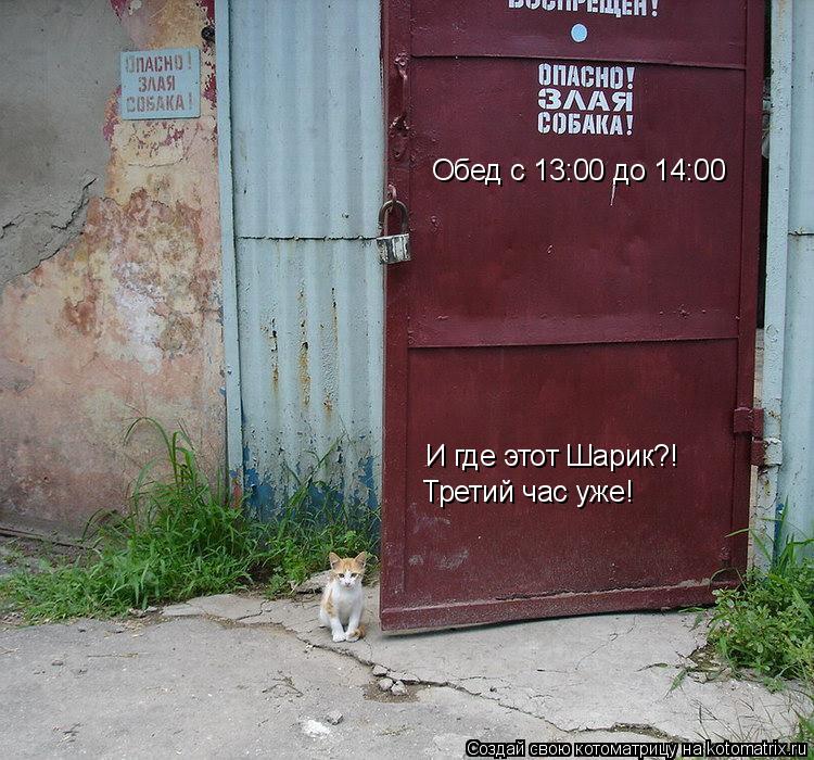 Обед с 13:00 до 14:00 И где этот Шарик?! Третий час уже!... Котоматрица: Обед с 13:00 до 14:00 И где этот Шарик?! Третий час уже!
