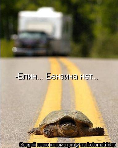 -Блин... Бензина нет...... Котоматрица: -Блин... Бензина нет...