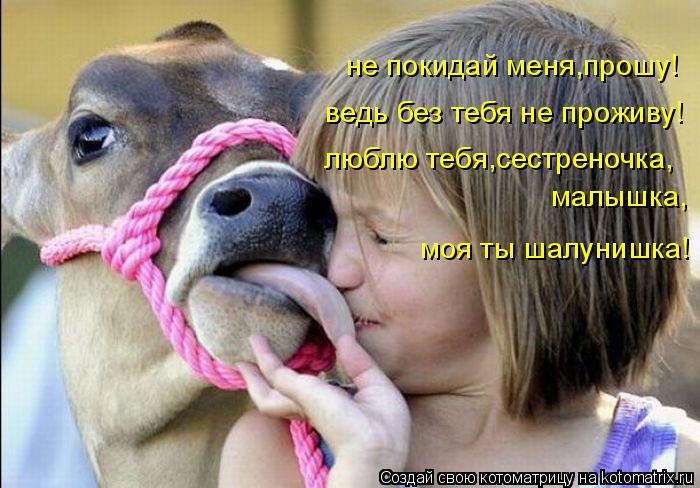 не покидай меня,прошу! ведь без тебя не проживу! люблю тебя,сестреночка, малышка, моя ты шалунишка!... Котоматрица: не покидай меня,прошу! ведь без тебя не проживу! люблю тебя,сестреночка, малышка, моя ты шалунишка!