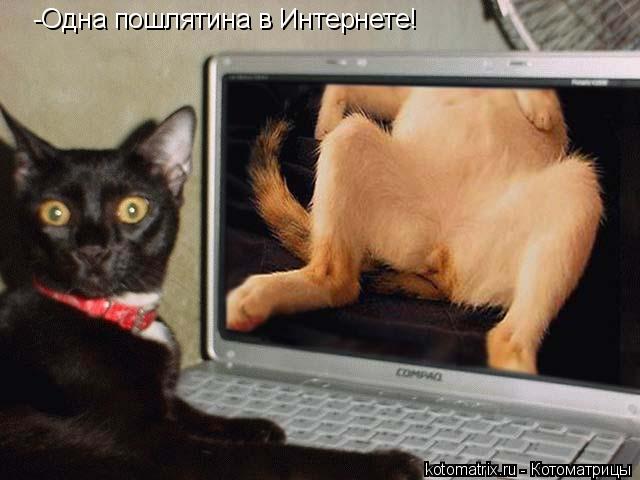 -Одна пошлятина в Интернете!... Котоматрица: -Одна пошлятина в Интернете!