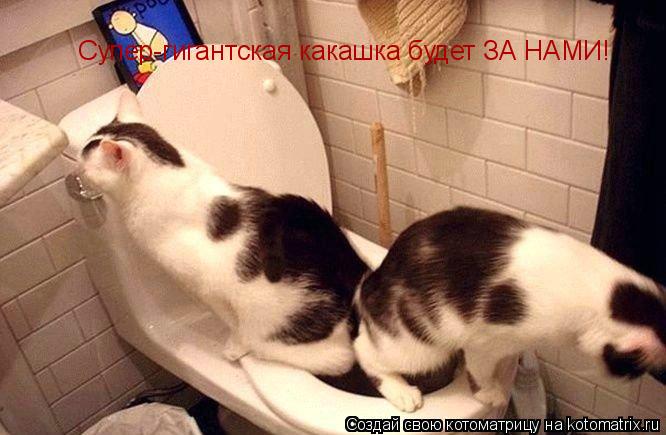 Супер-гигантская какашка будет ЗА НАМИ!... Котоматрица: Супер-гигантская какашка будет ЗА НАМИ!