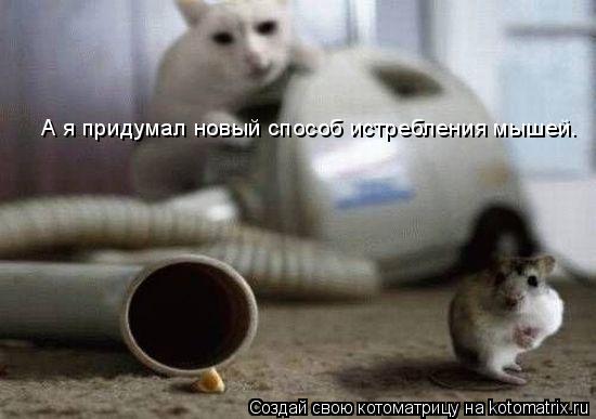 А я придумал новый способ истребления мышей.... Котоматрица: А я придумал новый способ истребления мышей.