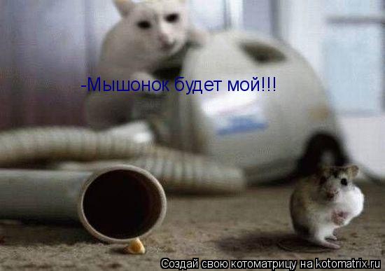 -Мышонок будет мой!!!... Котоматрица: -Мышонок будет мой!!!