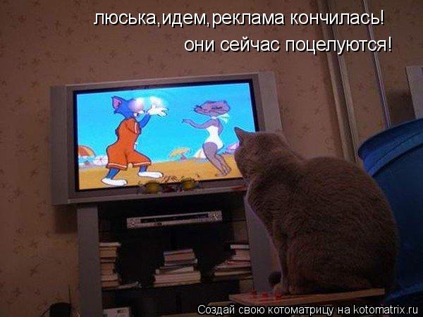 люська,идем,реклама кончилась! они сейчас поцелуются!... Котоматрица: люська,идем,реклама кончилась! они сейчас поцелуются!