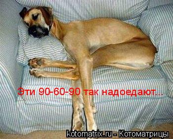 Эти 90-60-90 так надоедают...... Котоматрица: Эти 90-60-90 так надоедают...