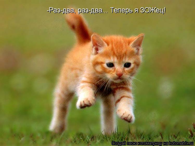 -Раз-два, раз-два... Теперь я ЗОЖец!... Котоматрица: -Раз-два, раз-два... Теперь я ЗОЖец!