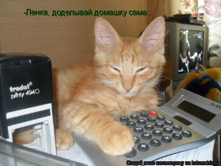 -Ленка, доделывай домашку сама...... Котоматрица: -Ленка, доделывай домашку сама...