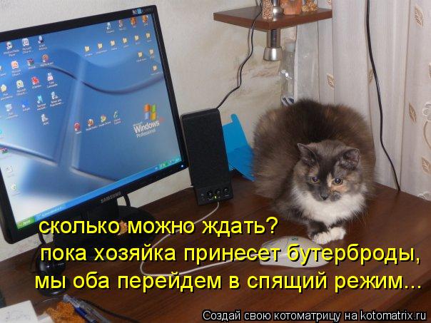 пока хозяйка принесет бутерброды, мы оба перейдем в спящий режим... сколько можно ждать?... Котоматрица: пока хозяйка принесет бутерброды, мы оба перейдем в спящий режим... сколько можно ждать?