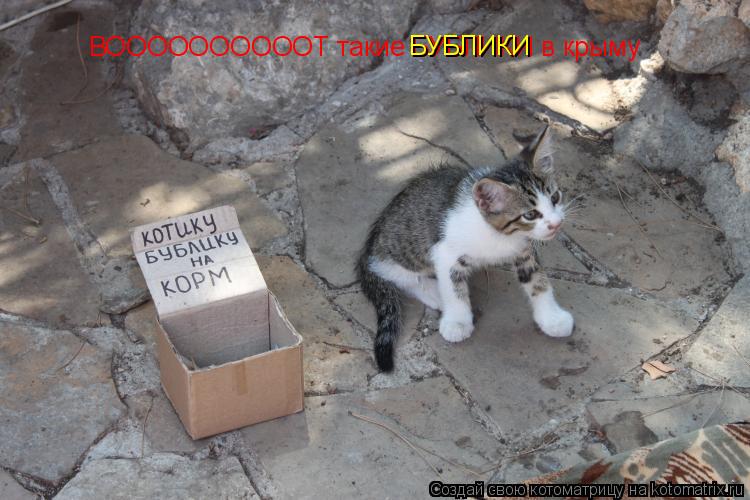 ВООООООООООТ такие БУБЛИКИ в крыму БУБЛИКИ... Котоматрица: ВООООООООООТ такие БУБЛИКИ в крыму БУБЛИКИ