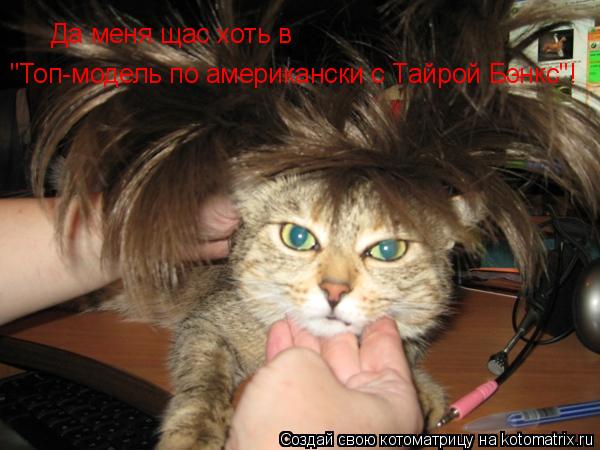 Да меня щас хоть в "Топ-модель по американски с Тайрой Бэнкс"!... Котоматрица: Да меня щас хоть в "Топ-модель по американски с Тайрой Бэнкс"!