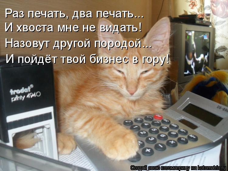 Раз печать, два печать... И хвоста мне не видать! Назовут другой породой... И пойдёт твой бизнес в го... Котоматрица: Раз печать, два печать... И хвоста мне не видать! Назовут другой породой... И пойдёт твой бизнес в гору!
