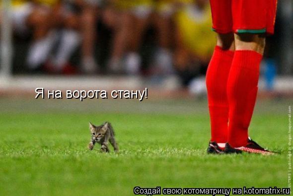 Я на ворота стану!... Котоматрица: Я на ворота стану!
