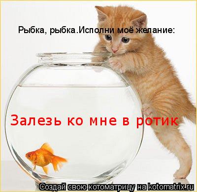 Рыбка, рыбка.Исполни моё желание: Залезь ко мне в ротик... Котоматрица: Рыбка, рыбка.Исполни моё желание: Залезь ко мне в ротик