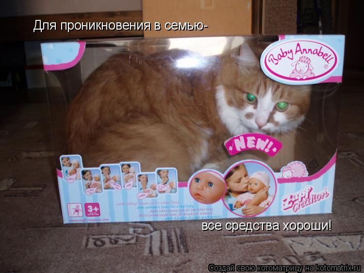 все средства хороши! Для проникновения в семью-... Котоматрица: все средства хороши! Для проникновения в семью-