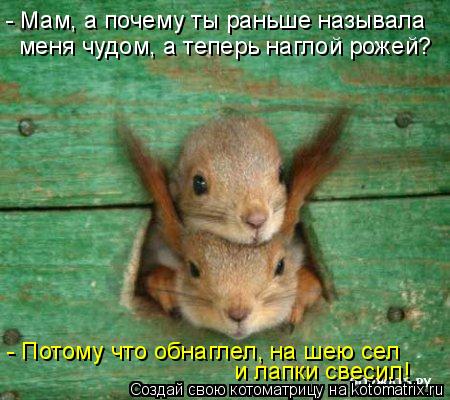 - Мам, а почему ты раньше называла меня чудом, а теперь наглой рожей? - Потому что обнаглел, на шею с... Котоматрица: - Мам, а почему ты раньше называла меня чудом, а теперь наглой рожей? - Потому что обнаглел, на шею сел и лапки свесил!