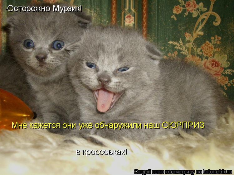 -Осторожно Мурзик! Мне кажется они уже обнаружили наш СЮРПРИЗ в кроссовках!... Котоматрица: -Осторожно Мурзик! Мне кажется они уже обнаружили наш СЮРПРИЗ в кроссовках!
