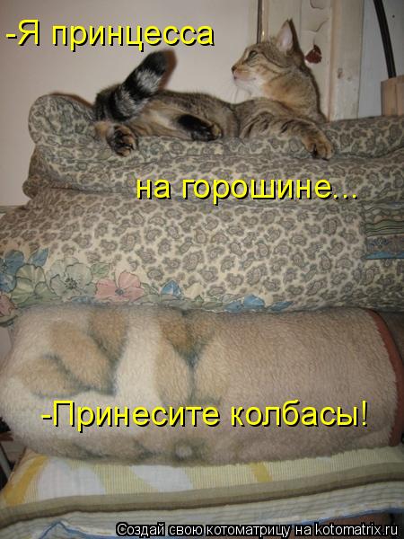 -Я принцесса на горошине... -Принесите колбасы!... Котоматрица: -Я принцесса на горошине... -Принесите колбасы!