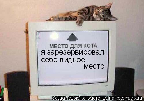 я зарезервировал себе видное место... Котоматрица: я зарезервировал себе видное место