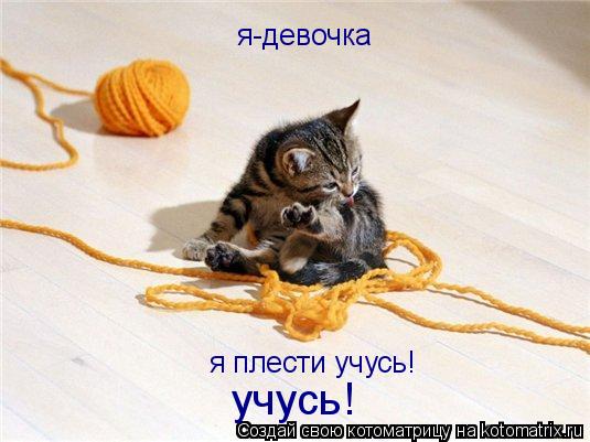 я-девочка я плести учусь! учусь!... Котоматрица: я-девочка я плести учусь! учусь!