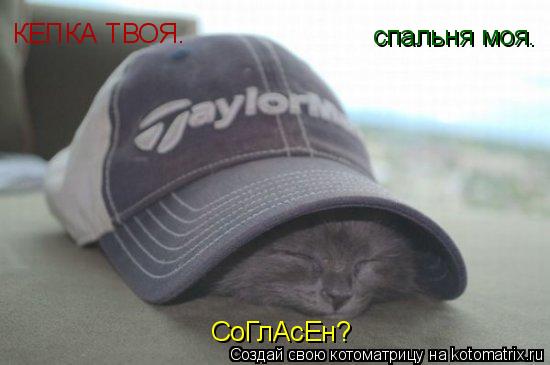 КЕПКА ТВОЯ. спальня моя. СоГлАсЕн?... Котоматрица: КЕПКА ТВОЯ. спальня моя. СоГлАсЕн?