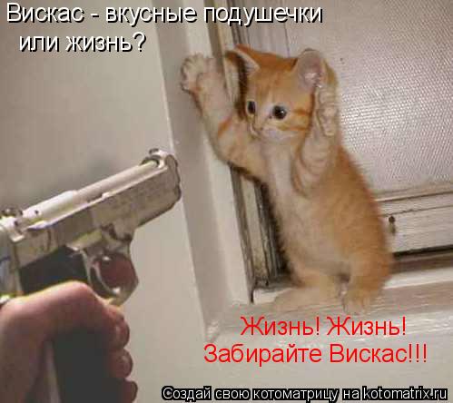 Вискас - вкусные подушечки или жизнь? Жизнь! Жизнь! Забирайте Вискас!!!... Котоматрица: Вискас - вкусные подушечки или жизнь? Жизнь! Жизнь! Забирайте Вискас!!!