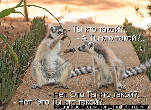 - Ты кто такой?... - Нет. Это Ты кто такой?... - Нет. Это Ты кто такой?... - А Ты кто такой?...... Котоматрица: - Ты кто такой?... - Нет. Это Ты кто такой?... - Нет. Это Ты кто такой?... - А Ты кто такой?...
