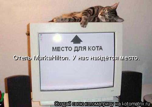 Отель MurkaHilton. У нас найдётся место.... Котоматрица: Отель MurkaHilton. У нас найдётся место.