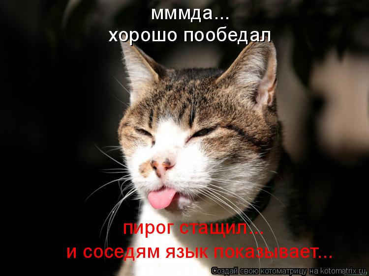 мммда... хорошо пообедал пирог стащил... и соседям язык показывает...... Котоматрица: мммда... хорошо пообедал пирог стащил... и соседям язык показывает...