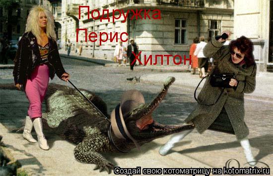 Подружка Перис Хилтон... Котоматрица: Подружка Перис Хилтон